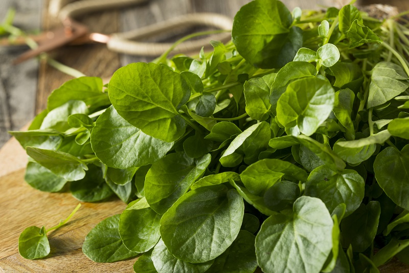 watercress is on our list of keto foods