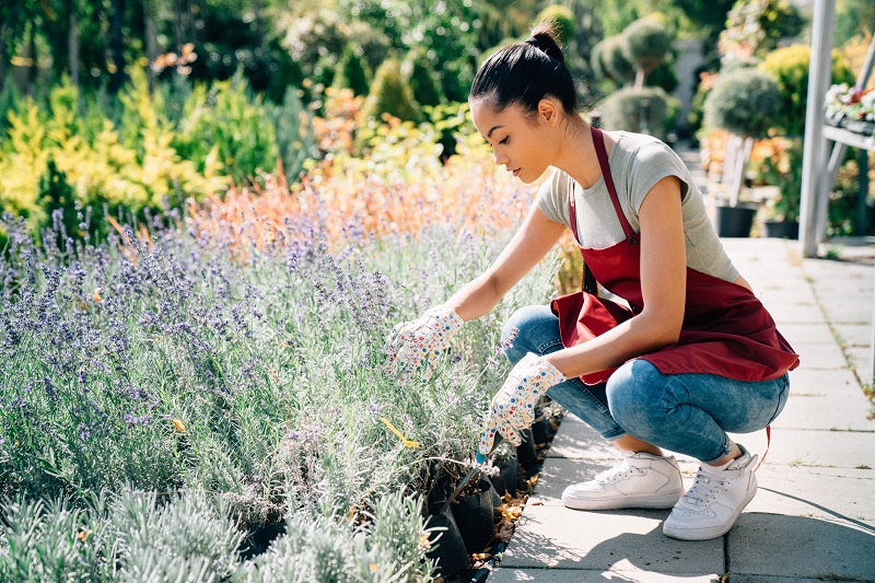 gardening activities to stay fit at home