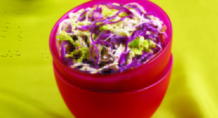 healthy homemade coleslaw dish by south beach diet