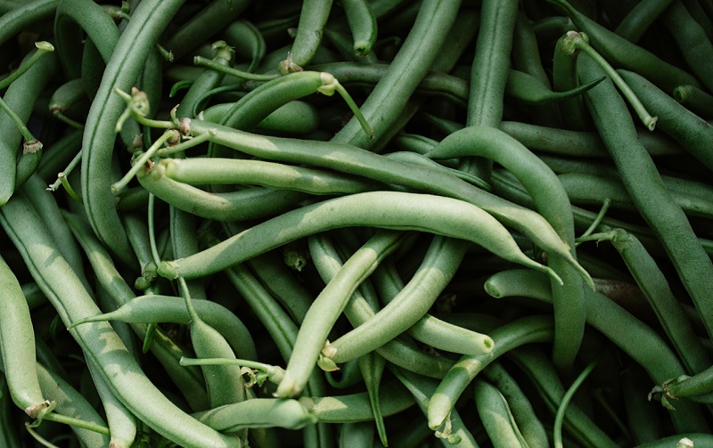fresh green beans 