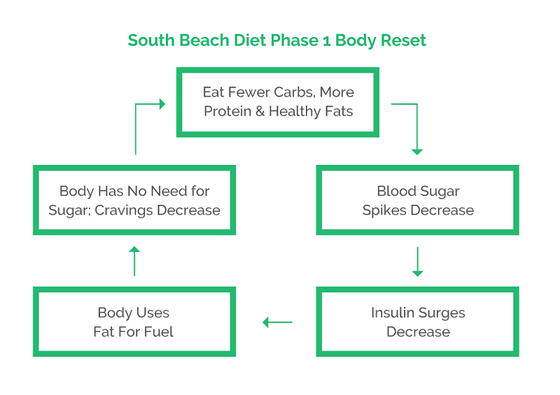 how soubbeach diet work