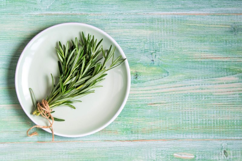 fresh rosemary herbs on a white plate